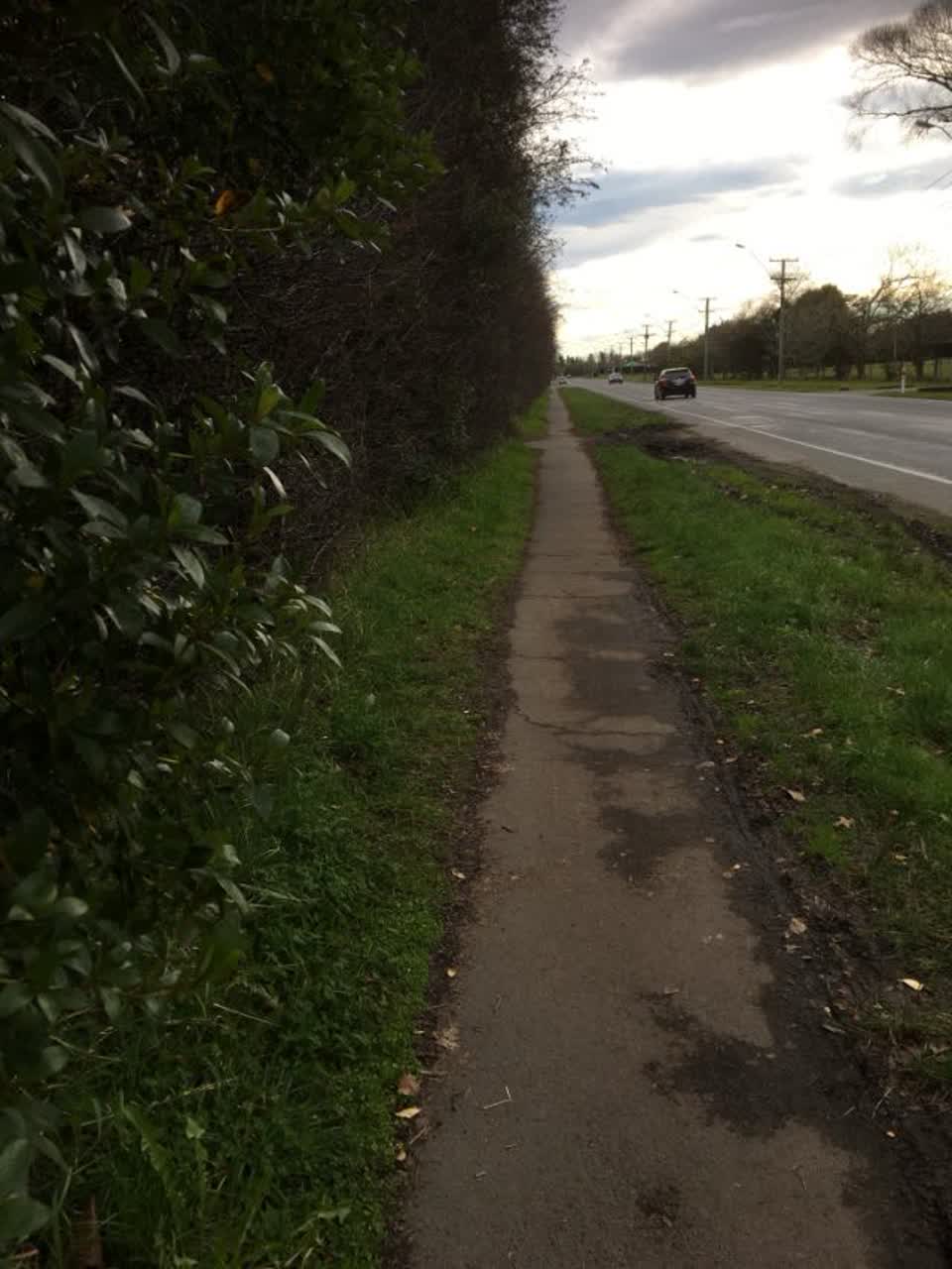 The photograph attached to this roading/streets report