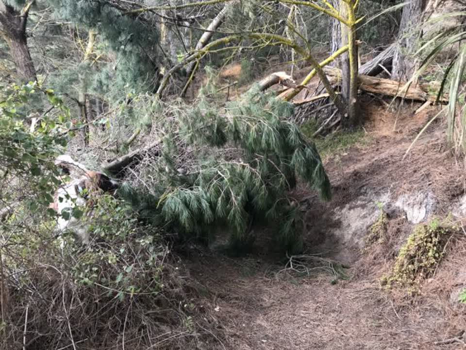 The photograph attached to this parks report
