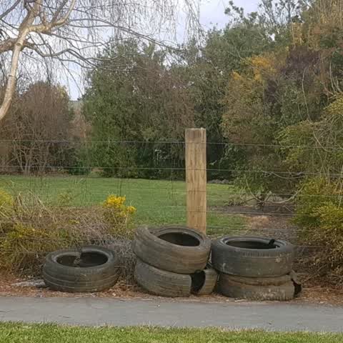 Rubbish/Recycling — a report photo