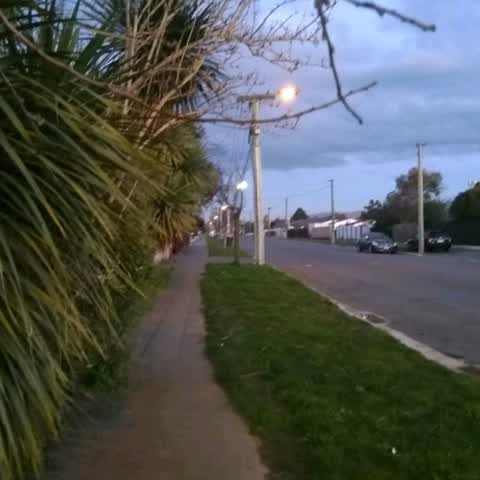 Roading/Streets, a report photo