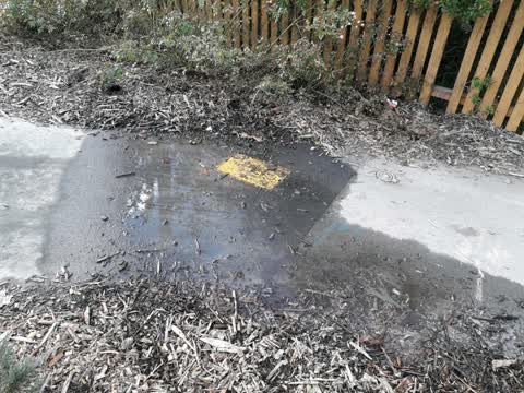 Rubbish/Recycling — a report photo