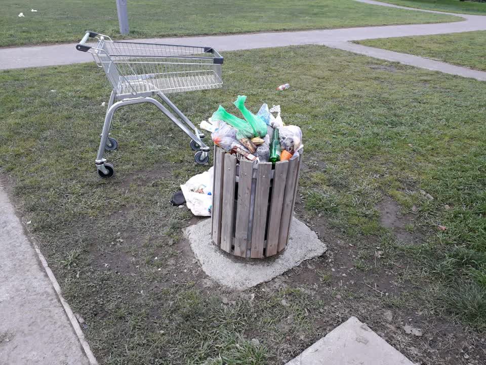 The photograph attached to this parks report