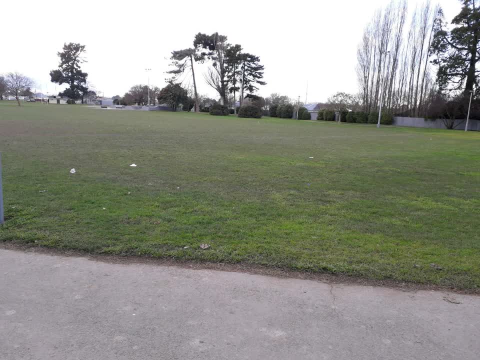 The photograph attached to this parks report