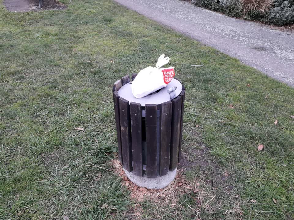 The photograph attached to this parks report