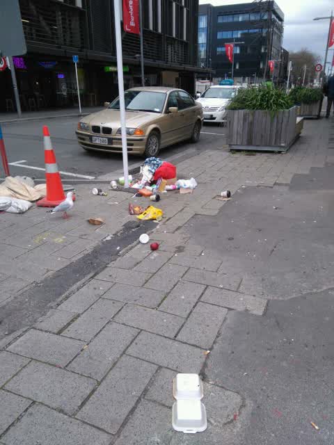 Rubbish/Recycling, a report photo