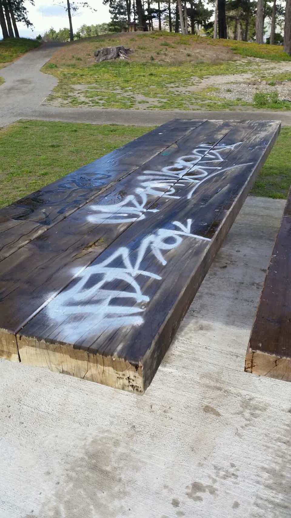 The photograph attached to this graffiti report