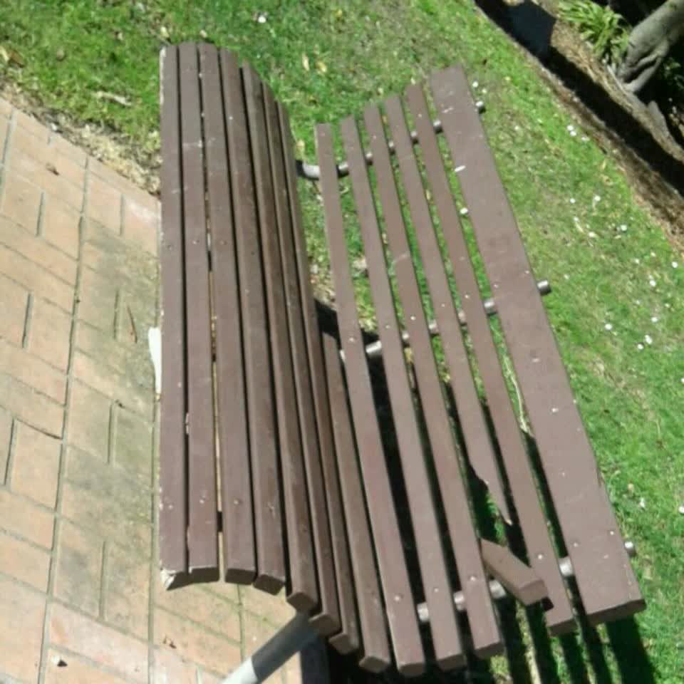 The photograph attached to this parks report
