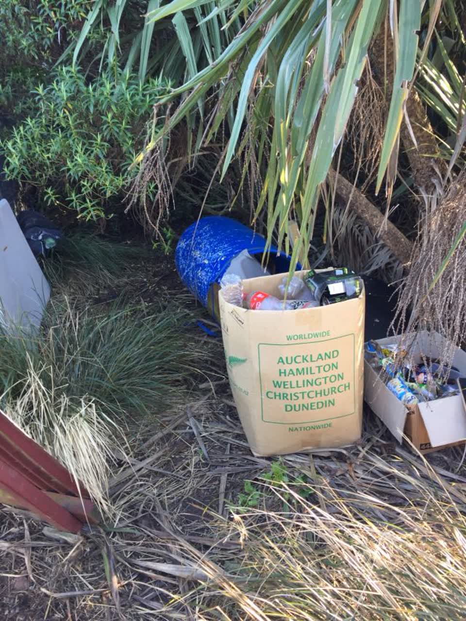 The photograph attached to this rubbish/recycling report