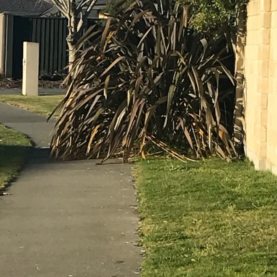 The photograph attached to this parks report