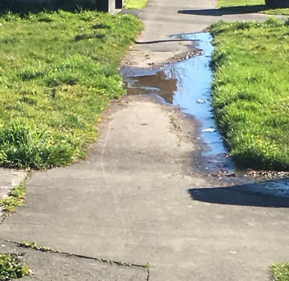 The photograph attached to this flooding report