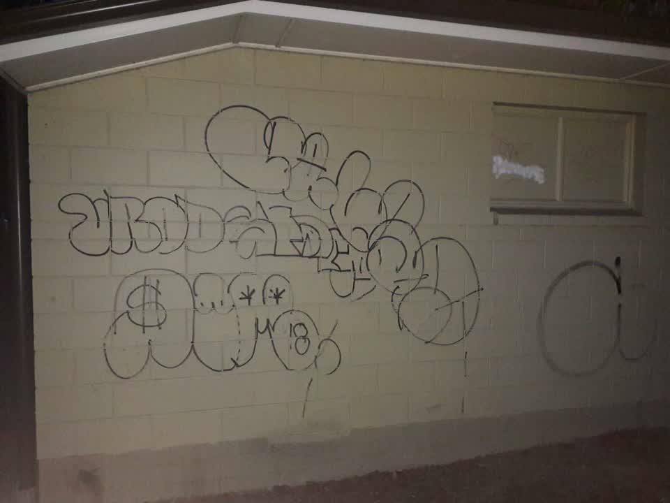 The photograph attached to this graffiti report
