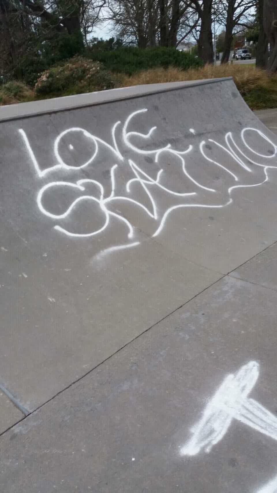 The photograph attached to this graffiti report
