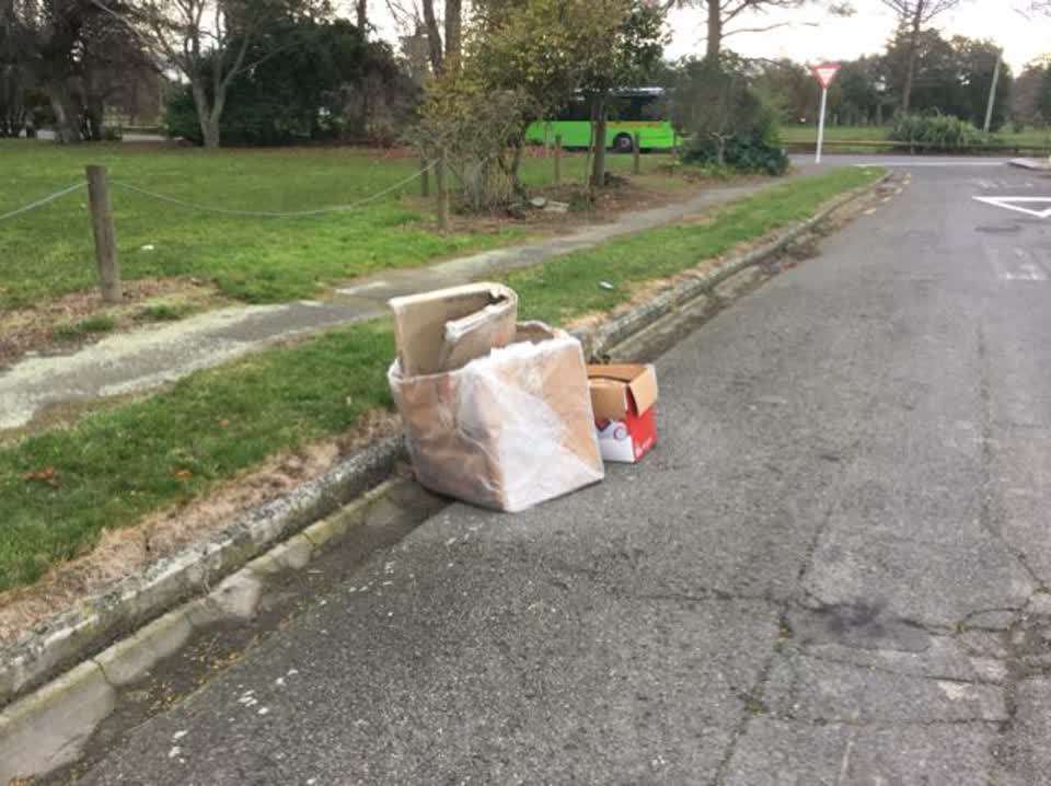 The photograph attached to this rubbish/recycling report
