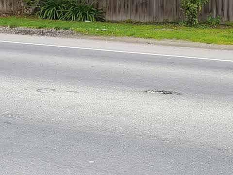 Roading/Streets, a report photo