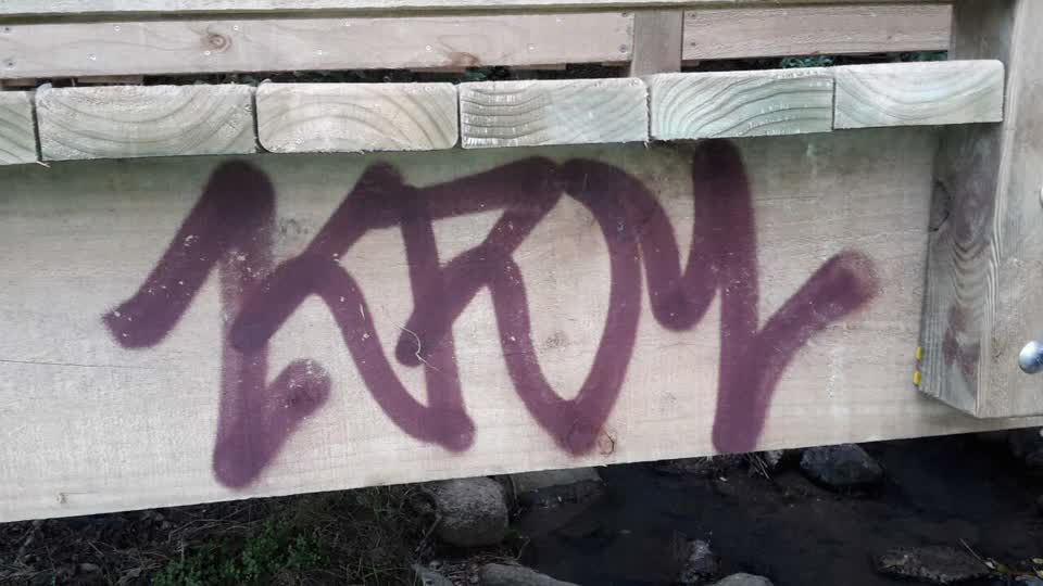 The photograph attached to this graffiti report