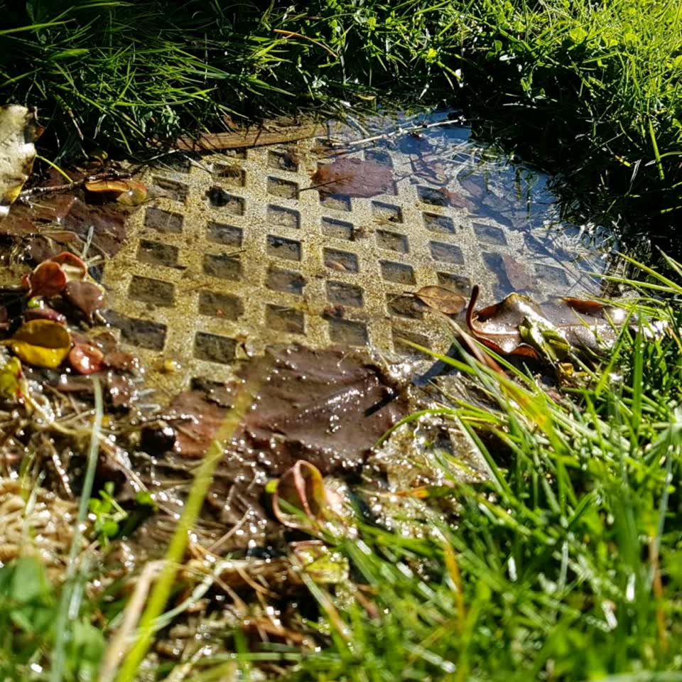The photograph attached to this water supply report