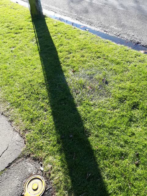 Flooding, a report photo