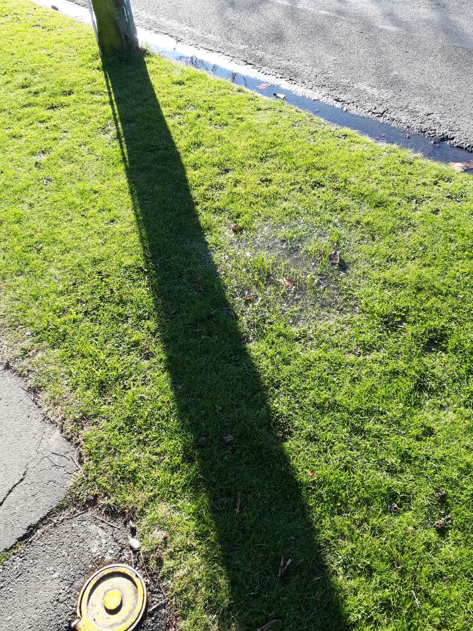 The photograph attached to this flooding report