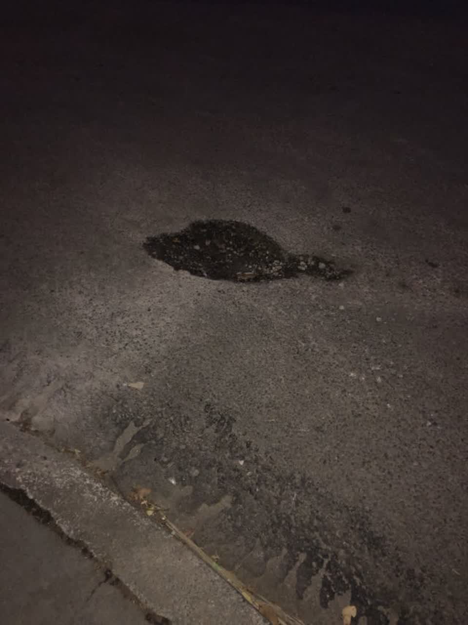 The photograph attached to this roading/streets report