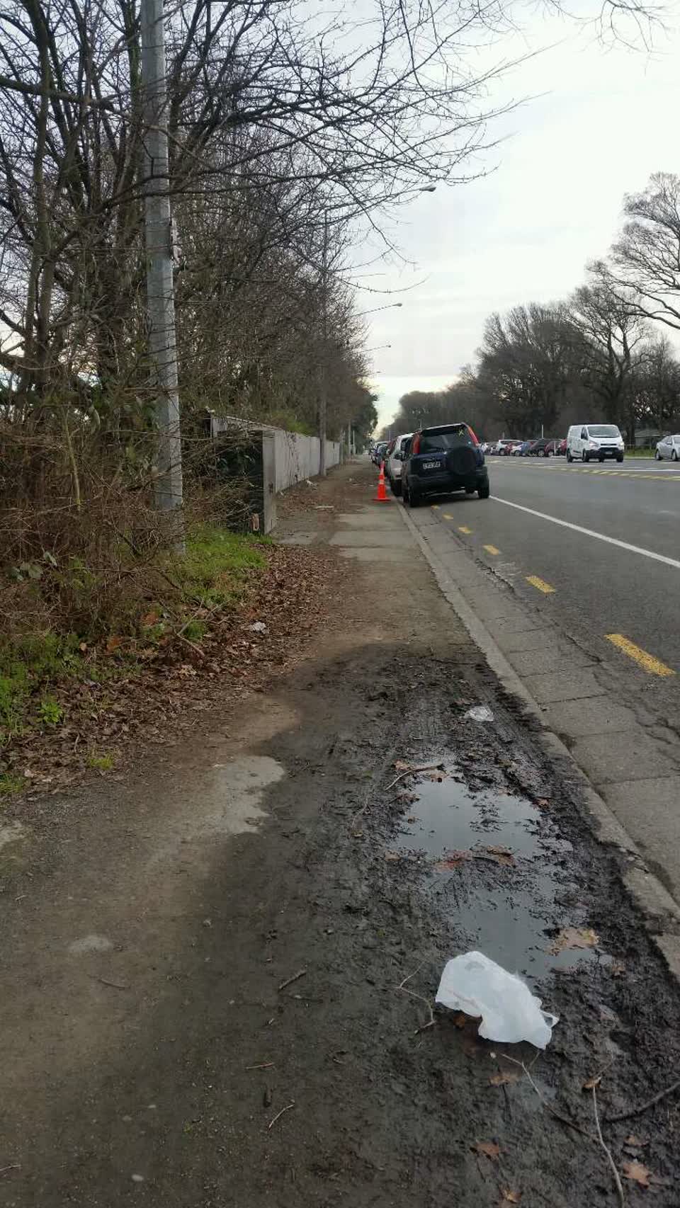 The photograph attached to this roading/streets report