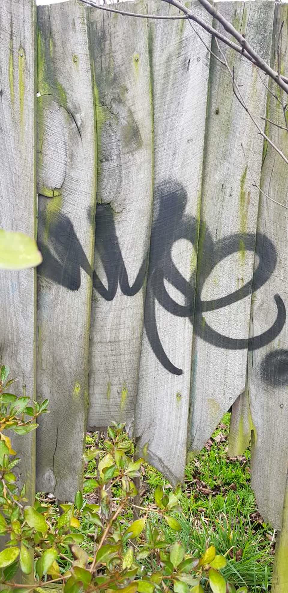 The photograph attached to this graffiti report
