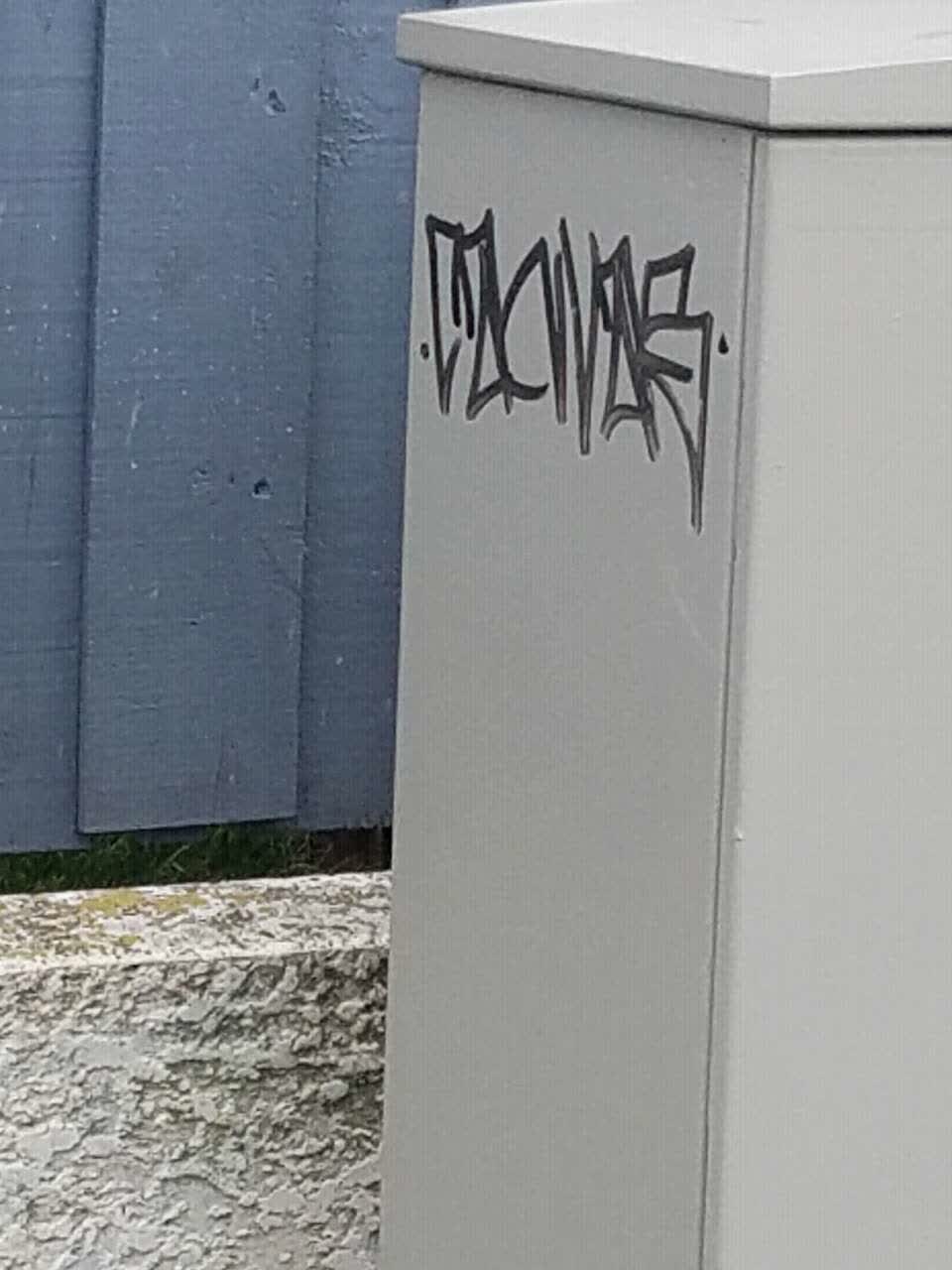The photograph attached to this graffiti report