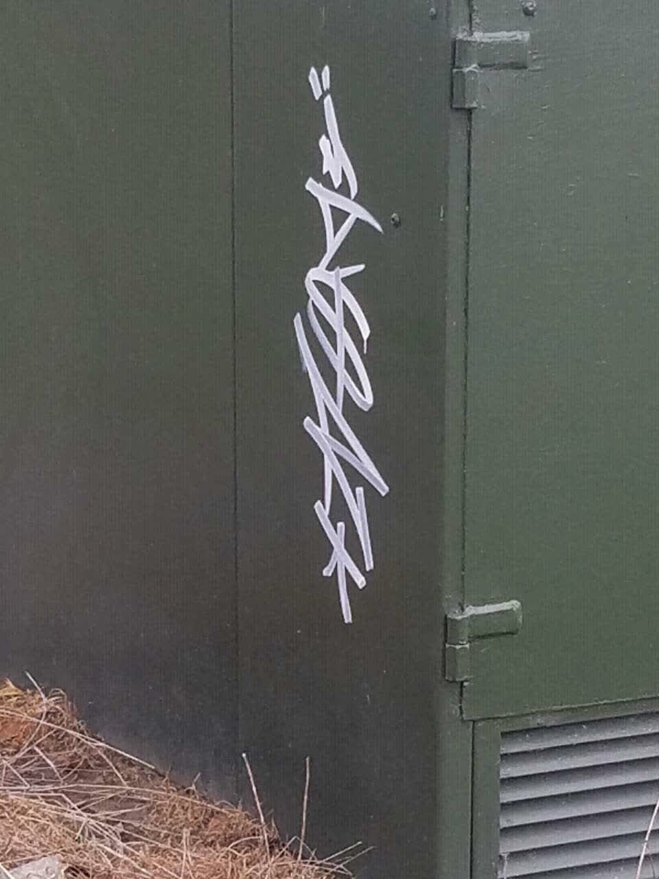 The photograph attached to this graffiti report