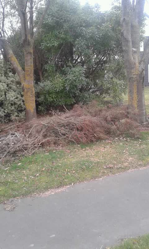 Rubbish/Recycling, a report photo