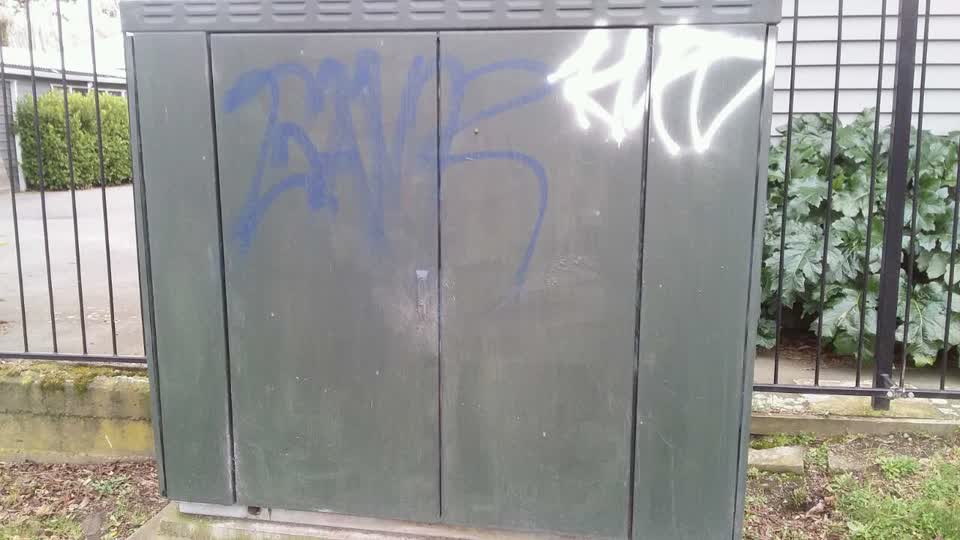 The photograph attached to this graffiti report