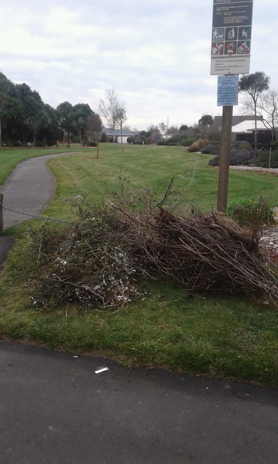 The photograph attached to this rubbish/recycling report