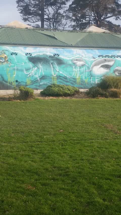 Graffiti, a report photo