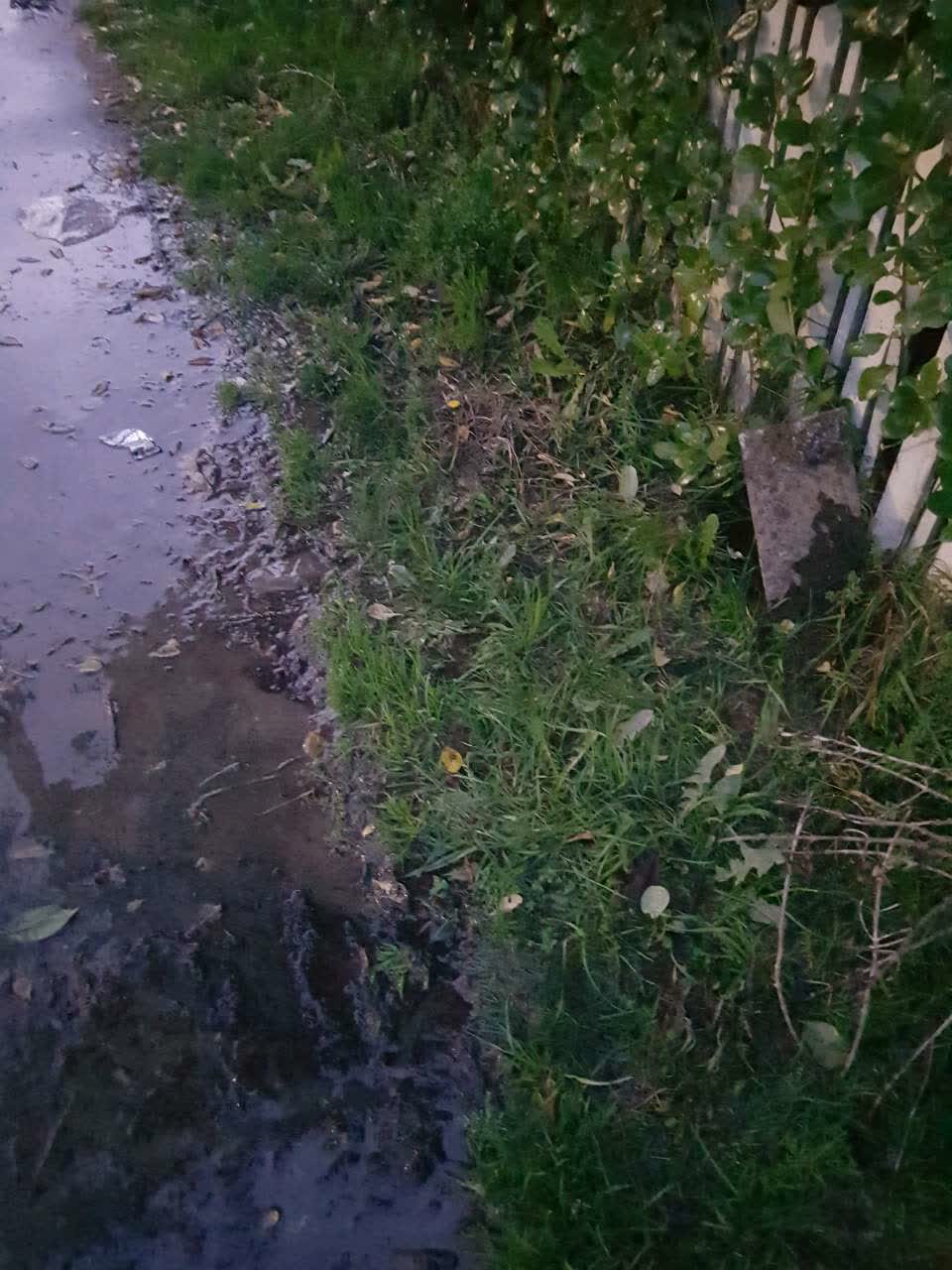 The photograph attached to this water supply report