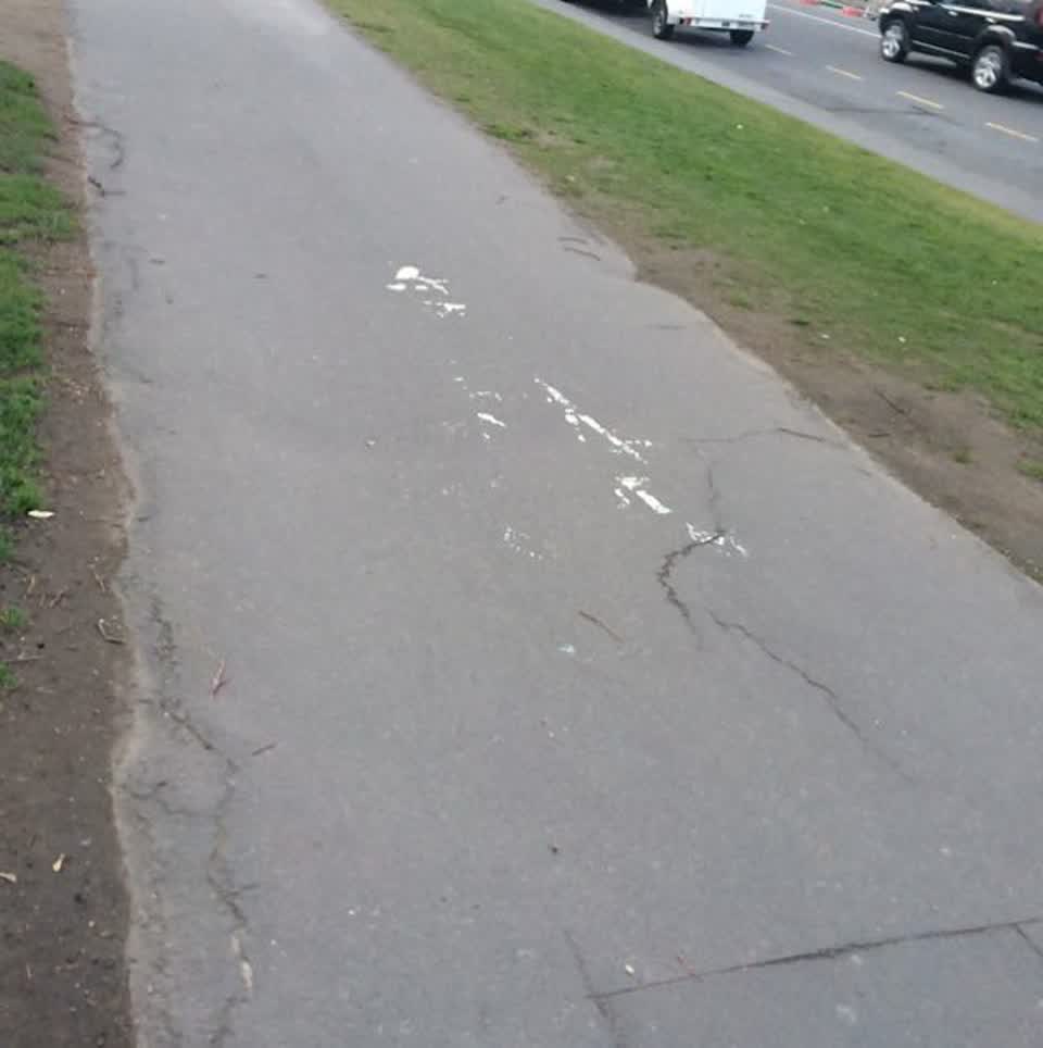 The photograph attached to this roading/streets report