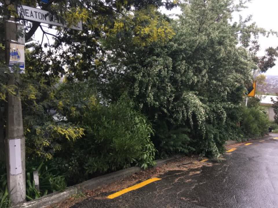 The photograph attached to this roading/streets report