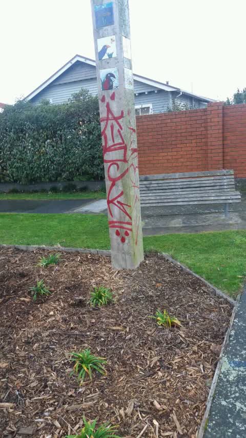 Graffiti — a report photo