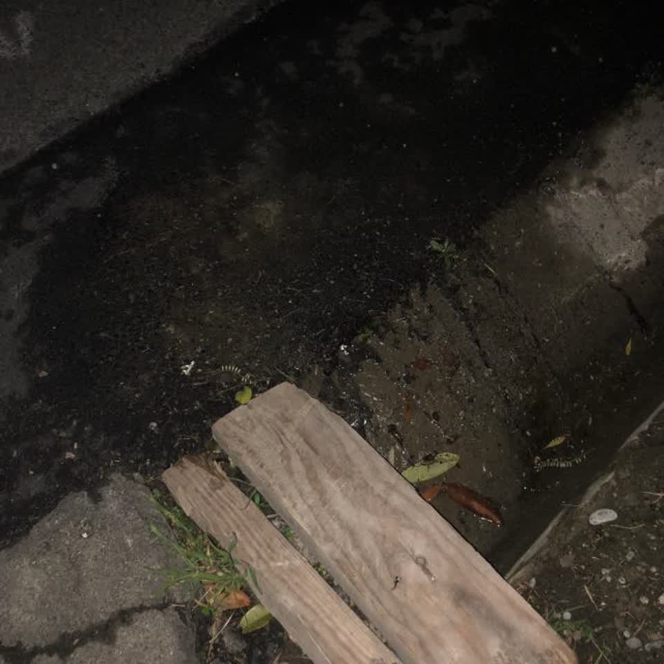 The photograph attached to this water supply report