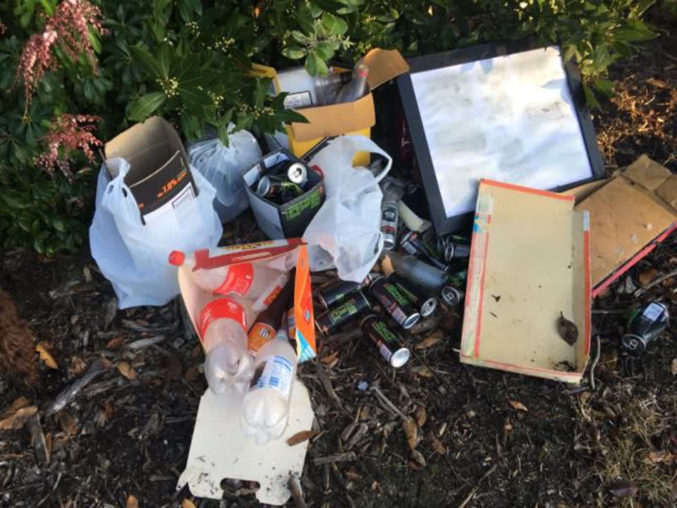 The photograph attached to this rubbish/recycling report