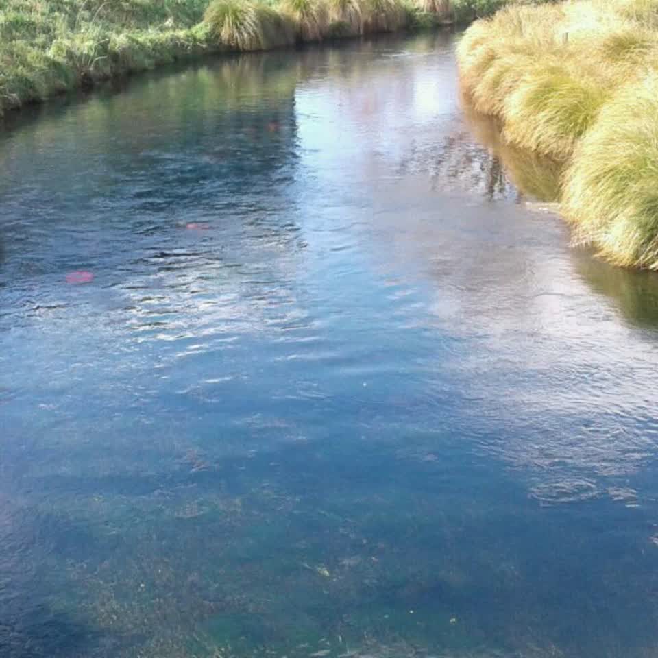 The photograph attached to this wastewater/stormwater report
