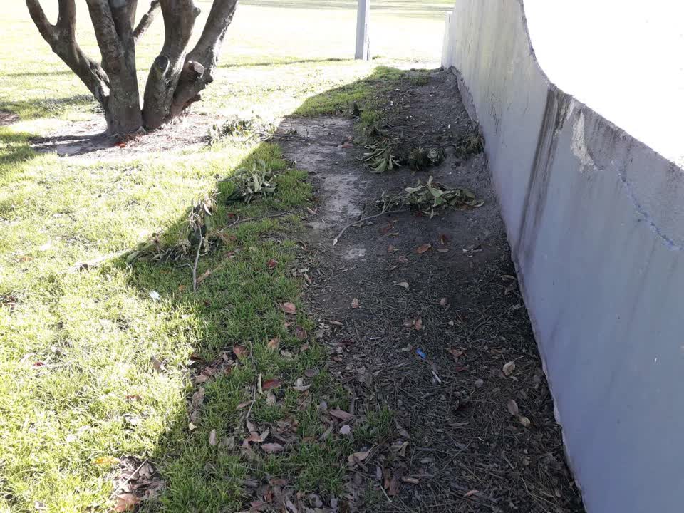 The photograph attached to this parks report