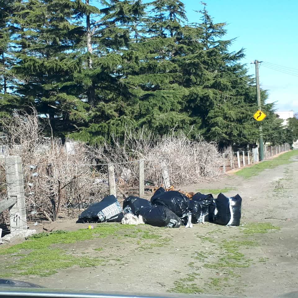 The photograph attached to this rubbish/recycling report