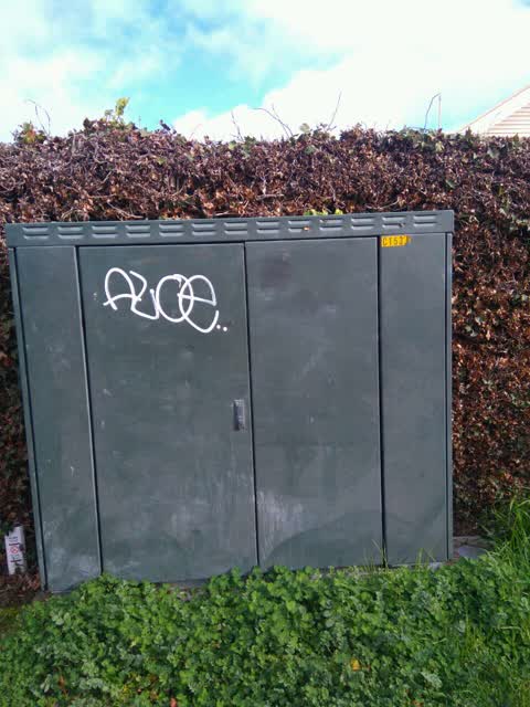 Graffiti, a report photo