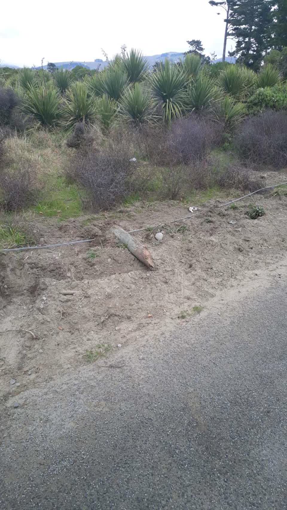 The photograph attached to this parks report