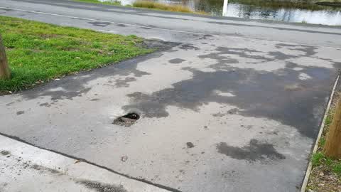 Roading/Streets, a report photo