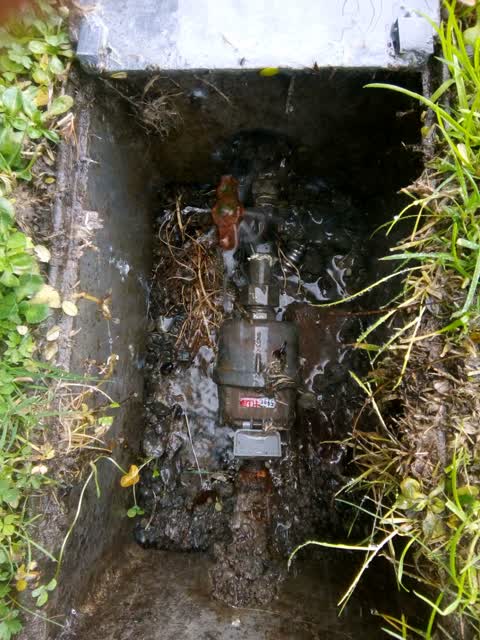 Water Supply, a report photo