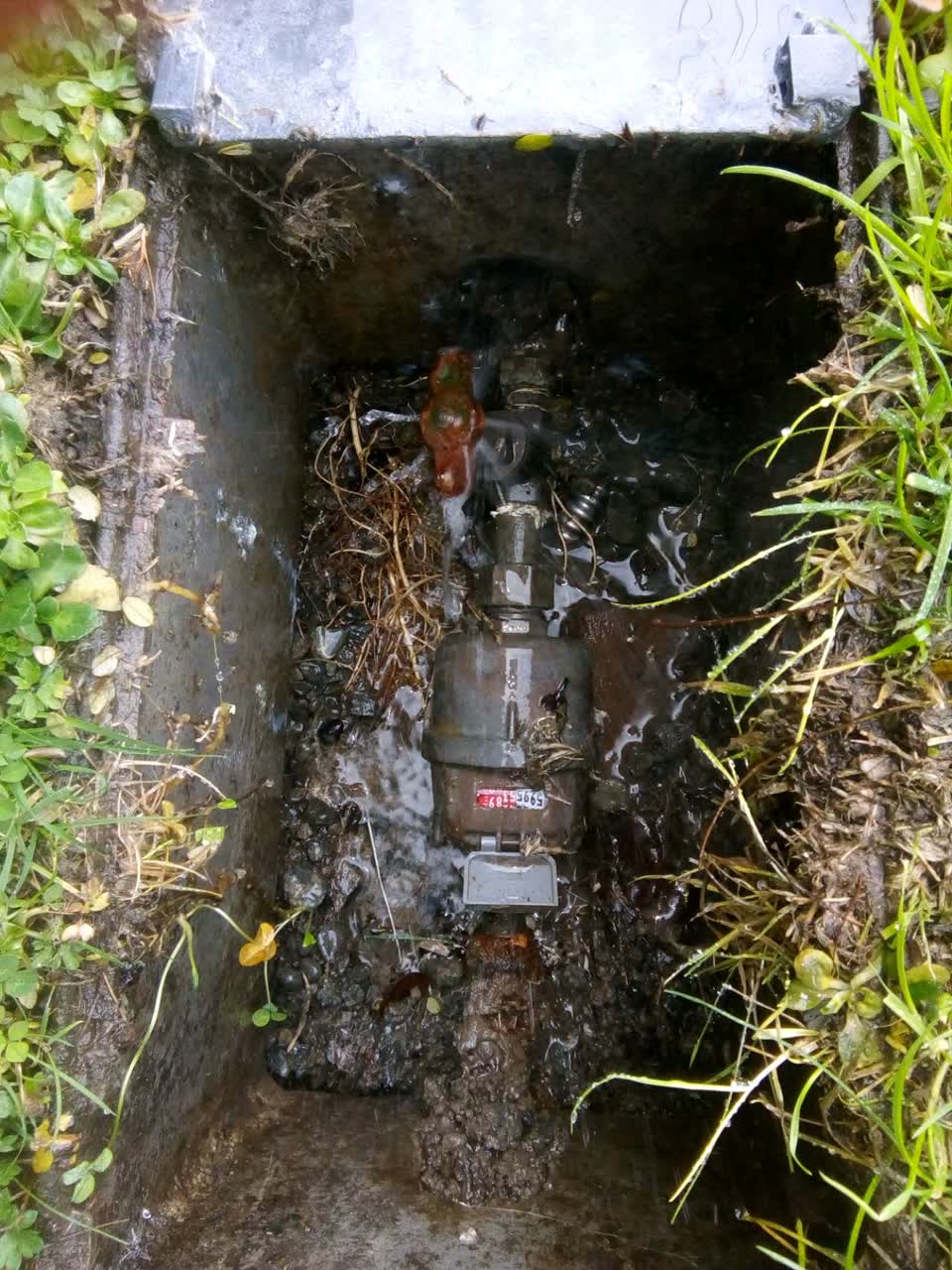 The photograph attached to this water supply report