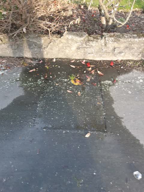 Water Supply, a report photo