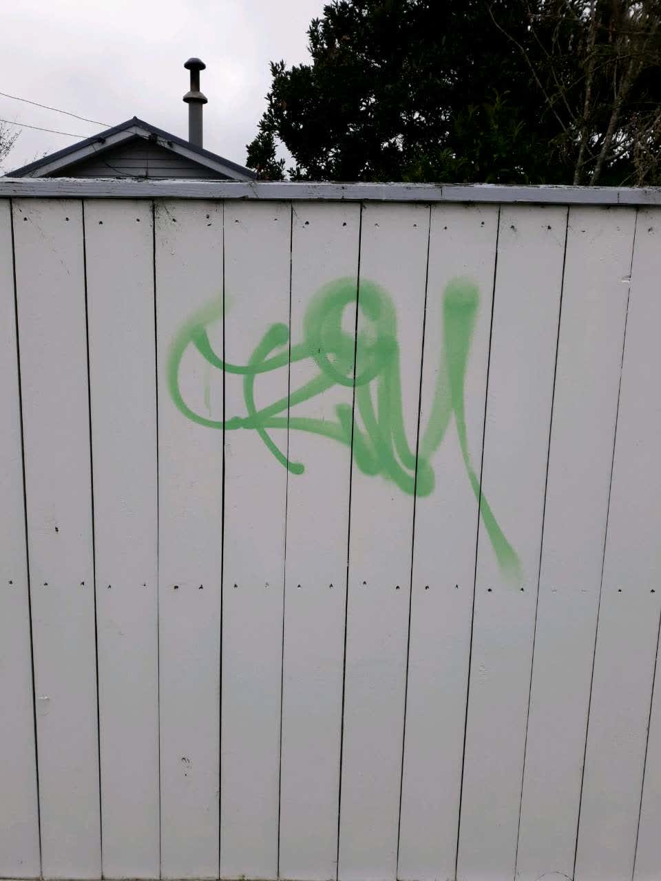 The photograph attached to this graffiti report