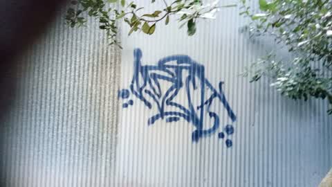 Graffiti, a report photo