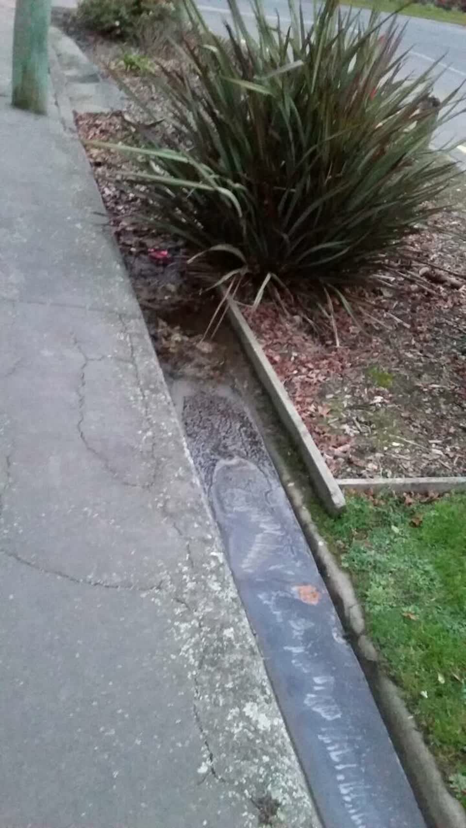 The photograph attached to this wastewater/stormwater report