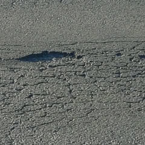 Roading/Streets, a report photo